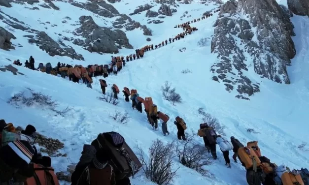 Kurdish Porters Face Death Threats Between Iran and Iraqi Kurdistan